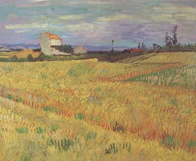 Vincent Van Gogh Wheat Field (nn04)